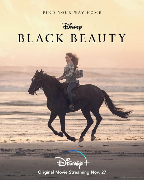 Обложка (Постер) Чёрная Красавица / Black Beauty (2020) HDRip Обложка (Постер) Чёрная Красавица / Black Beauty (2020) HDRip