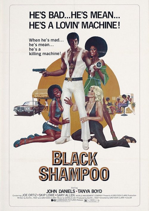 Обложка (Постер) Чёрный шампунь / Black Shampoo (1976) SATRip