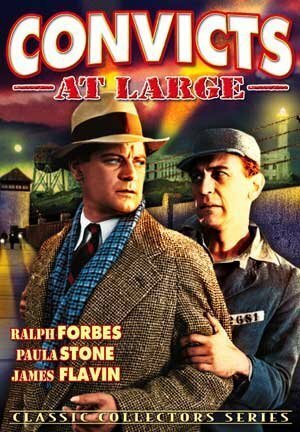 Обложка (Постер) Convicts at Large (1938) SATRip Обложка (Постер) Convicts at Large (1938) SATRip