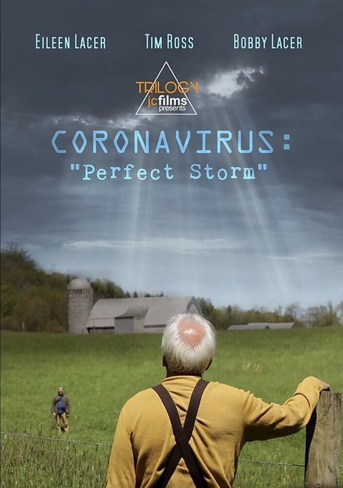 Обложка (Постер) Coronavirus: Perfect Storm (2020) HDRip Обложка (Постер) Coronavirus: Perfect Storm (2020) HDRip