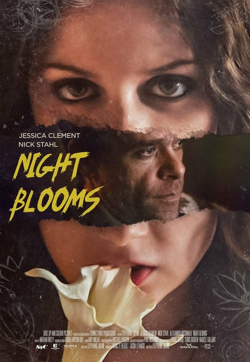 Обложка (Постер) Цветы ночи / Night Blooms Обложка (Постер) Цветы ночи / Night Blooms