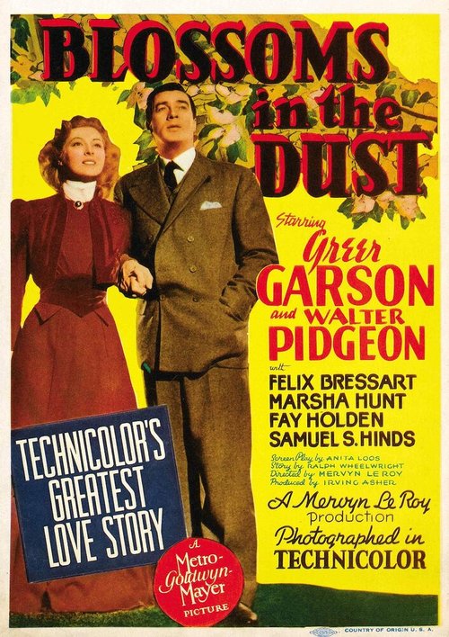 Обложка (Постер) Цветы в пыли / Blossoms in the Dust (1941) SATRip Обложка (Постер) Цветы в пыли / Blossoms in the Dust (1941) SATRip