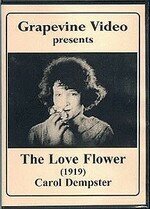Обложка (Постер) Цветок любви / The Love Flower (1920) SATRip
