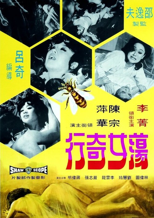 Обложка (Постер) Dang nu ji hang (1973) SATRip Обложка (Постер) Dang nu ji hang (1973) SATRip