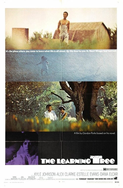 Обложка (Постер) Дерево науки / The Learning Tree (1969) SATRip Обложка (Постер) Дерево науки / The Learning Tree (1969) SATRip