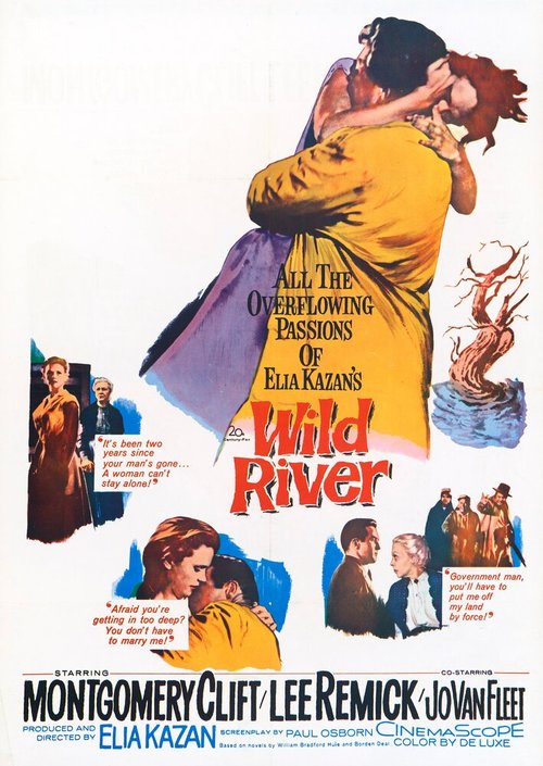 Обложка (Постер) Дикая река / Wild River (1960) SATRip Обложка (Постер) Дикая река / Wild River (1960) SATRip