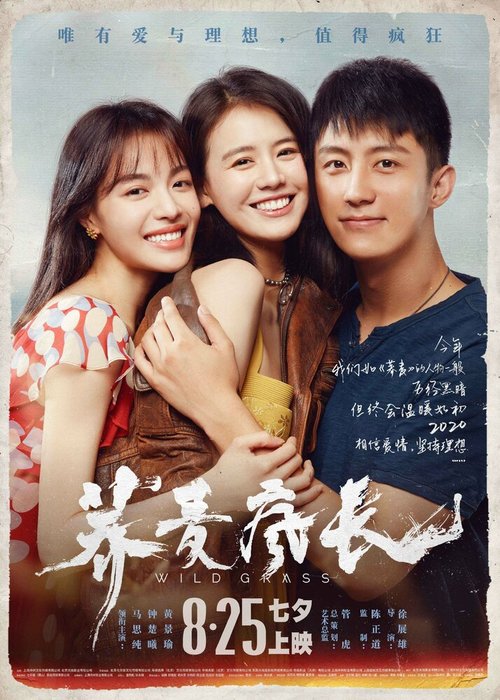 Обложка (Постер) Дикие травы / Qiao mai feng zhang (2020) HDRip Обложка (Постер) Дикие травы / Qiao mai feng zhang (2020) HDRip