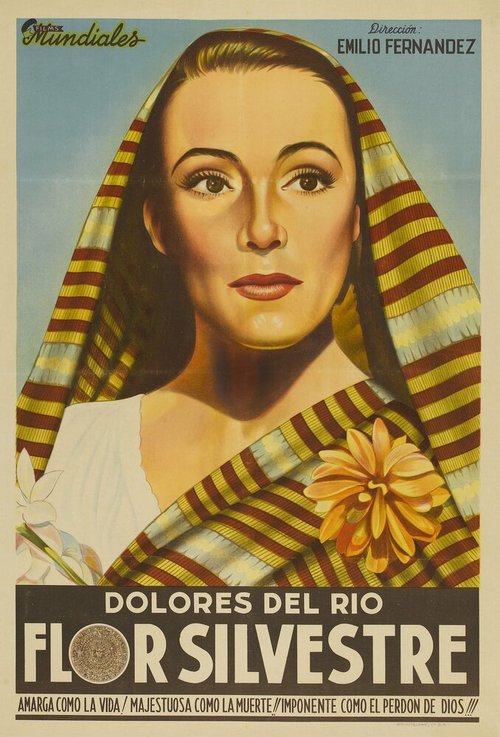 Обложка (Постер) Дикий цветок / Flor silvestre (1943) SATRip Обложка (Постер) Дикий цветок / Flor silvestre (1943) SATRip
