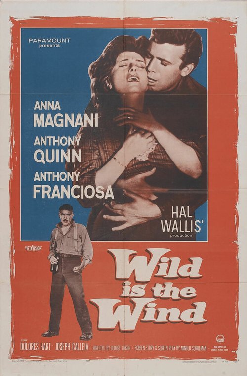 Обложка (Постер) Дикий ветер / Wild Is the Wind (1957) SATRip Обложка (Постер) Дикий ветер / Wild Is the Wind (1957) SATRip
