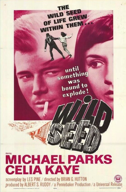 Обложка (Постер) Дикое семя / Wild Seed (1965) SATRip Обложка (Постер) Дикое семя / Wild Seed (1965) SATRip