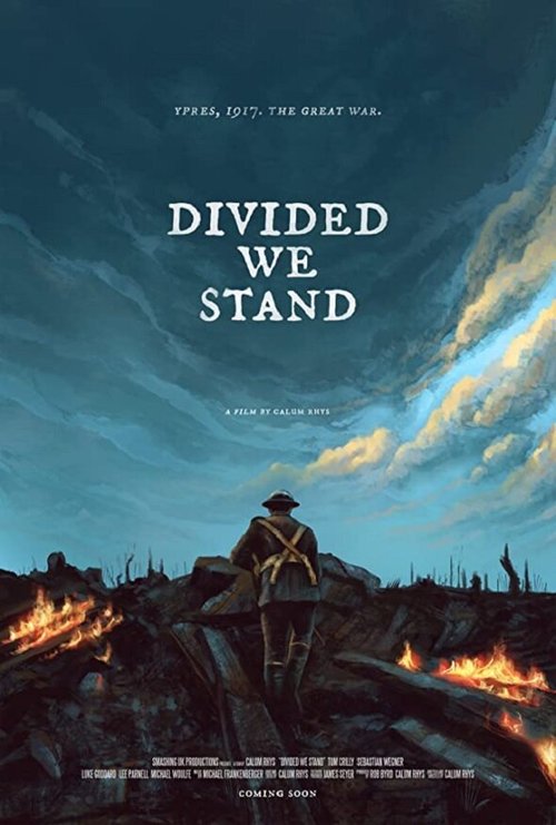 Обложка (Постер) Divided We Stand (2020) Обложка (Постер) Divided We Stand (2020)
