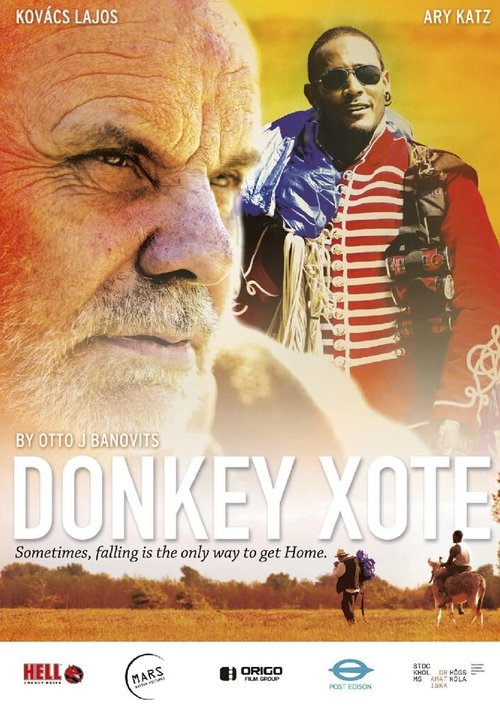 Обложка (Постер) Donkey Xote Обложка (Постер) Donkey Xote