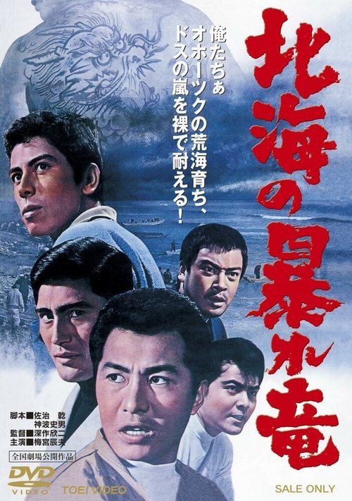 Обложка (Постер) Дракон, буйствующий в Северном море / Hokkai no Abare-Ryu (1966) SATRip