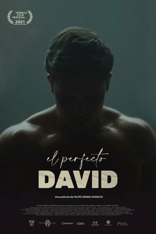 Обложка (Постер) El perfecto David (2021) HDRip