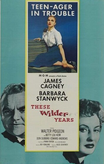 Обложка (Постер) Эти дикие годы / These Wilder Years (1956) SATRip
