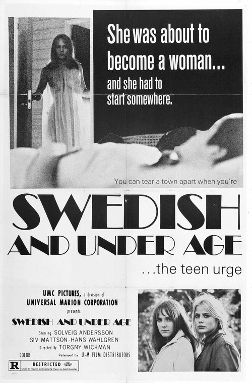 Обложка (Постер) Ева — изгой / Eva - den utstötta (1969) SATRip