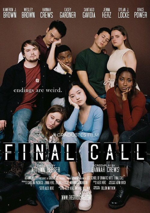 Обложка (Постер) Final Call (2021) 