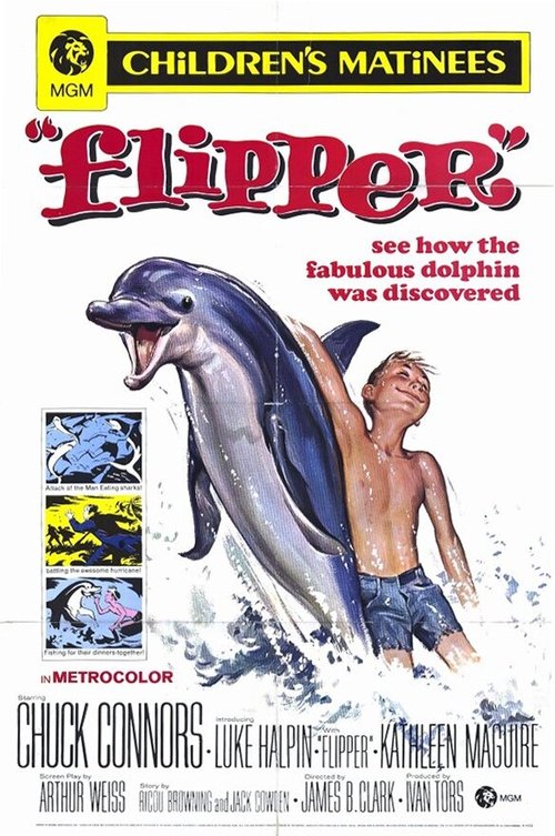 Обложка (Постер) Флиппер / Flipper (1963) SATRip
