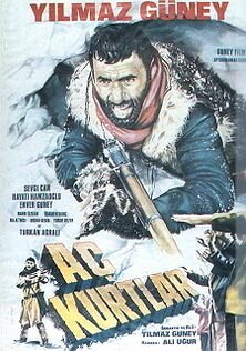 Обложка (Постер) Голодные волки / Aç kurtlar (1969) SATRip
