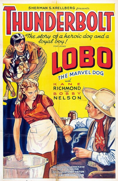 Обложка (Постер) Громобой / Thunderbolt (1929) SATRip