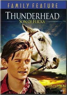 Обложка (Постер) Грозовая туча — сын Флики / Thunderhead - Son of Flicka (1945) SATRip Обложка (Постер) Грозовая туча — сын Флики / Thunderhead - Son of Flicka (1945) SATRip
