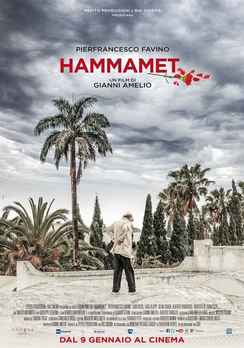 Обложка (Постер) Хаммамет / Hammamet (2020) HDRip