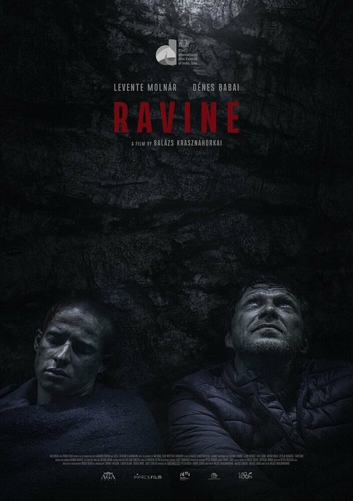 Обложка (Постер) Hasadék (2021) HDRip Обложка (Постер) Hasadék (2021) HDRip