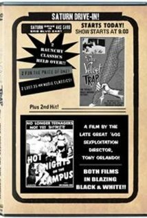 Обложка (Постер) Hot Nights on the Campus (1966) SATRip Обложка (Постер) Hot Nights on the Campus (1966) SATRip