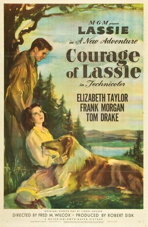 Обложка Храбрость Лэсси / Courage of Lassie (1946) 