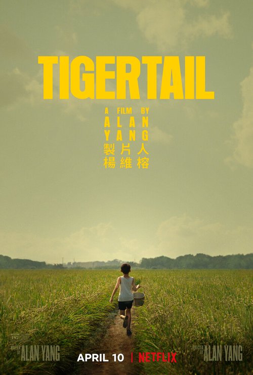 Обложка (Постер) Хвост тигра / Tigertail (2020) HDRip