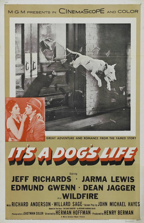Обложка (Постер) It's a Dog's Life (1955) SATRip Обложка (Постер) It's a Dog's Life (1955) SATRip