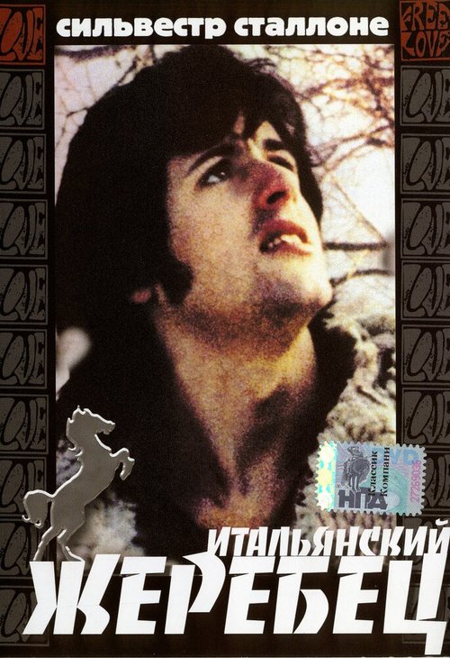 Обложка (Постер) Итальянский жеребец / The Party at Kitty and Stud's (1970) SATRip
