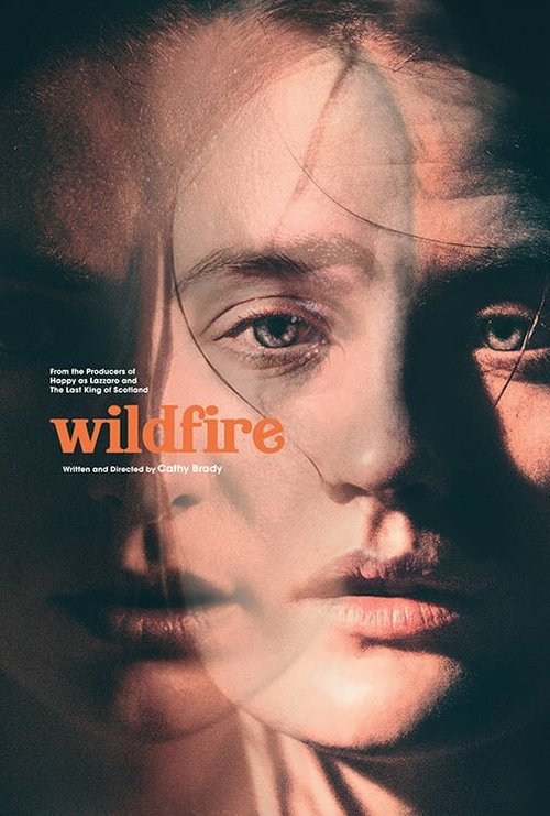 Обложка (Постер) Из огня да в полымя / Wildfire (2020) HDRip Обложка (Постер) Из огня да в полымя / Wildfire (2020) HDRip