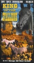 Обложка (Постер) King of the Stallions (1942) SATRip Обложка (Постер) King of the Stallions (1942) SATRip