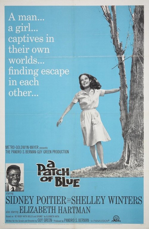 Обложка (Постер) Клочок синевы / A Patch of Blue (1965) SATRip Обложка (Постер) Клочок синевы / A Patch of Blue (1965) SATRip