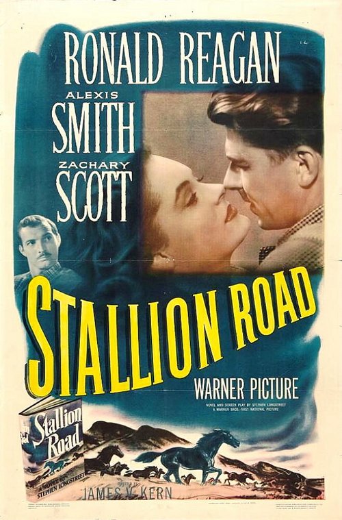 Обложка (Постер) Конный путь / Stallion Road (1947) SATRip Обложка (Постер) Конный путь / Stallion Road (1947) SATRip