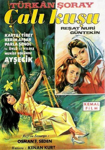 Обложка (Постер) Королек — птичка певчая / Çalikusu (1966) SATRip Обложка (Постер) Королек — птичка певчая / Çalikusu (1966) SATRip