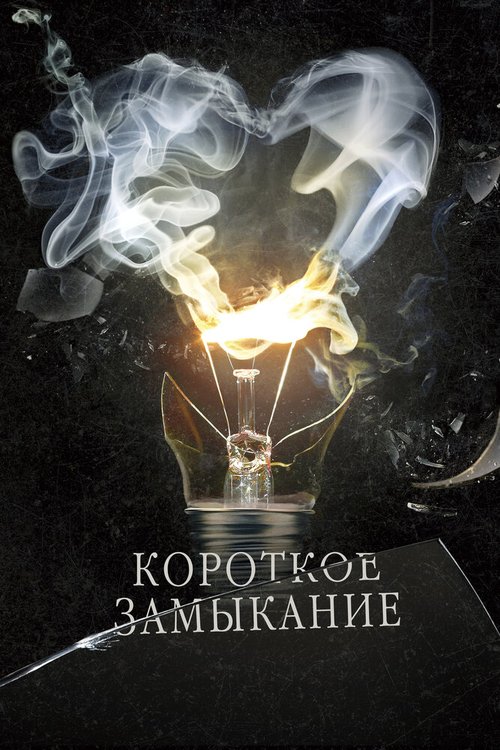 Обложка Короткое замыкание (2009) 