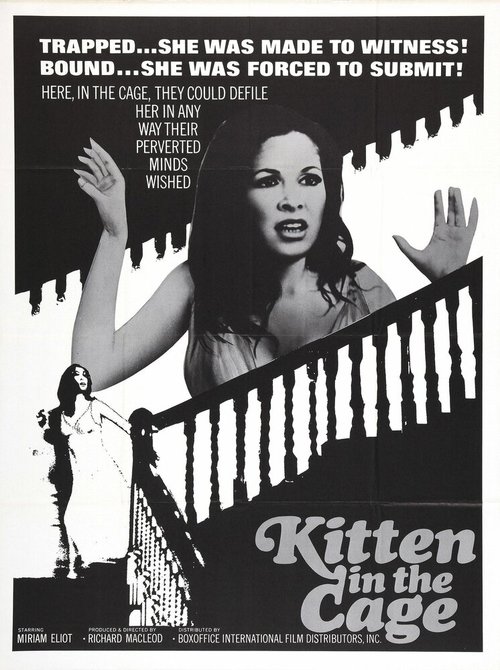 Обложка (Постер) Котенок в клетке / Kitten in a Cage (1968) SATRip Обложка (Постер) Котенок в клетке / Kitten in a Cage (1968) SATRip