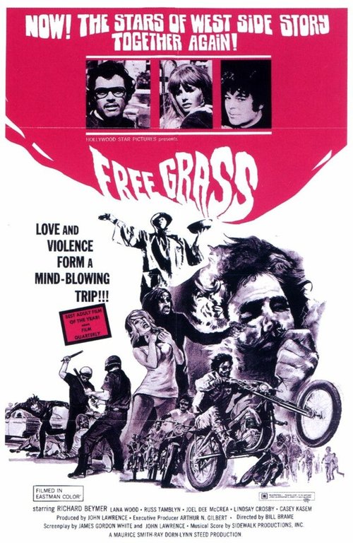 Обложка (Постер) Кричи! / Scream Free! (1969) SATRip
