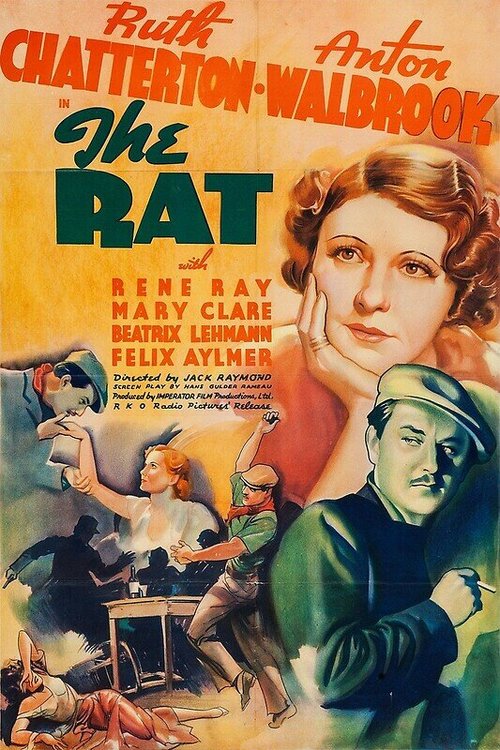 Обложка (Постер) Крыса / The Rat (1937) SATRip