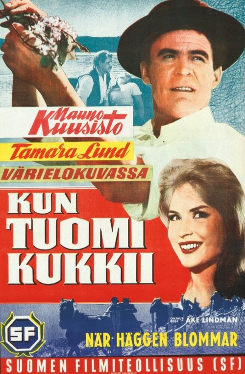Обложка (Постер) Kun tuomi kukkii (1962) SATRip Обложка (Постер) Kun tuomi kukkii (1962) SATRip