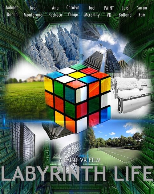 Обложка (Постер) Labyrinth Life Обложка (Постер) Labyrinth Life