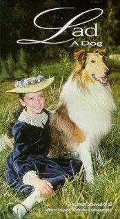 Обложка (Постер) Lad: A Dog (1962) SATRip Обложка (Постер) Lad: A Dog (1962) SATRip