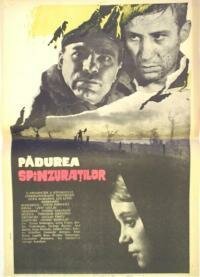 Обложка (Постер) Лес повешенных / Padurea spânzuratilor (1964) SATRip Обложка (Постер) Лес повешенных / Padurea spânzuratilor (1964) SATRip