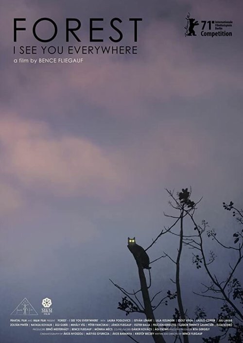 Обложка (Постер) Лес: Вижу тебя повсюду / Rengeteg - Mindenhol látlak (2021) HDRip Обложка (Постер) Лес: Вижу тебя повсюду / Rengeteg - Mindenhol látlak (2021) HDRip
