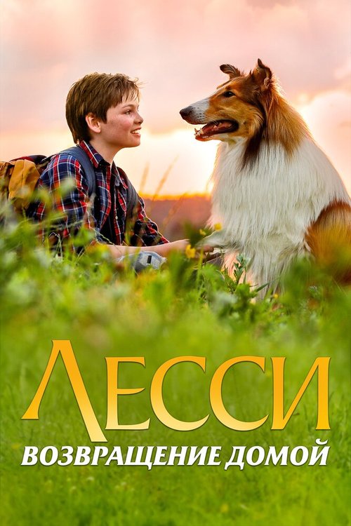 Обложка (Постер) Лесси. Возвращение домой / Lassie - Eine abenteuerliche Reise (2020) HDRip Обложка (Постер) Лесси. Возвращение домой / Lassie - Eine abenteuerliche Reise (2020) HDRip