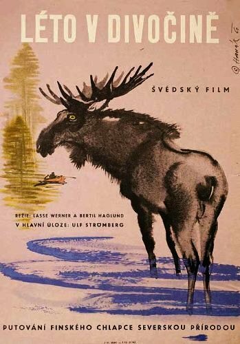 Обложка (Постер) Лето в дикой местности / Vildmarkssommar (1957) SATRip Обложка (Постер) Лето в дикой местности / Vildmarkssommar (1957) SATRip