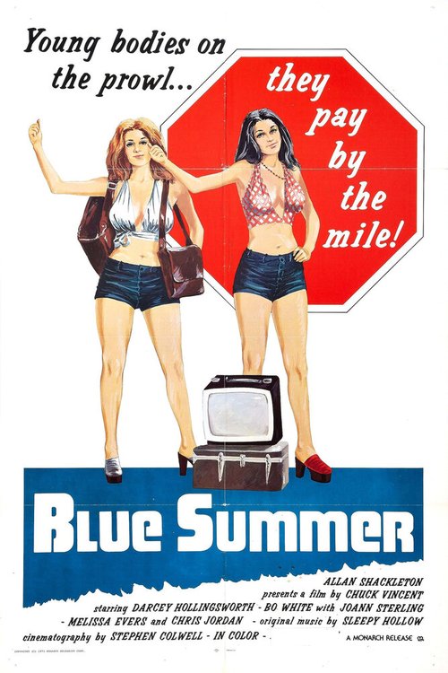 Обложка (Постер) Лето желаний / Blue Summer (1973) SATRip Обложка (Постер) Лето желаний / Blue Summer (1973) SATRip