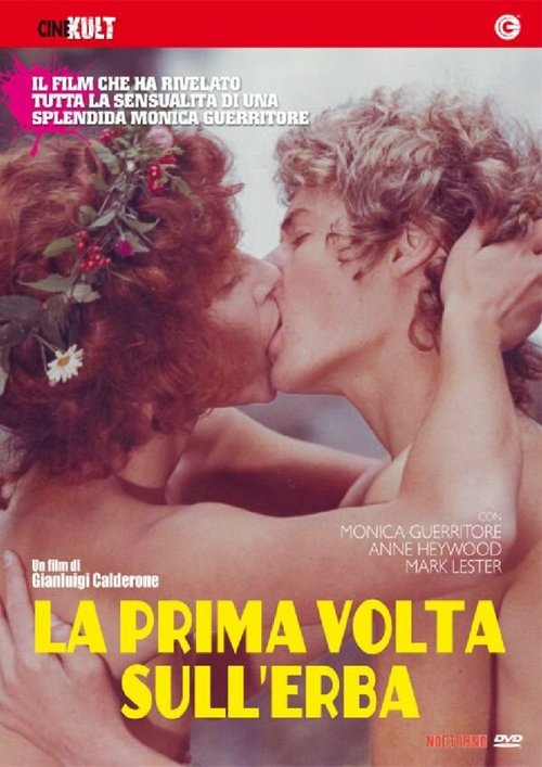 Обложка (Постер) Любовь под вязами / La prima volta, sull'erba (1975) SATRip Обложка (Постер) Любовь под вязами / La prima volta, sull'erba (1975) SATRip